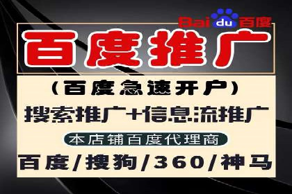 网络推广竞价策略解析与应用案例